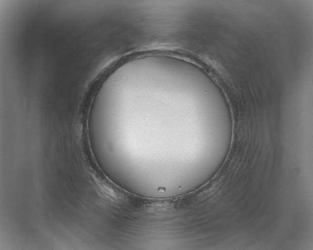 X0000069801406200606021427