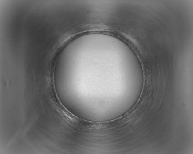 X0000069801407200606021427