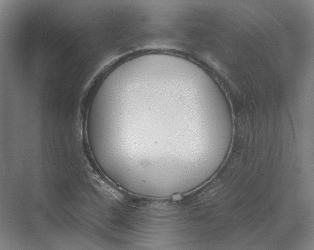 X0000069801408200606021427