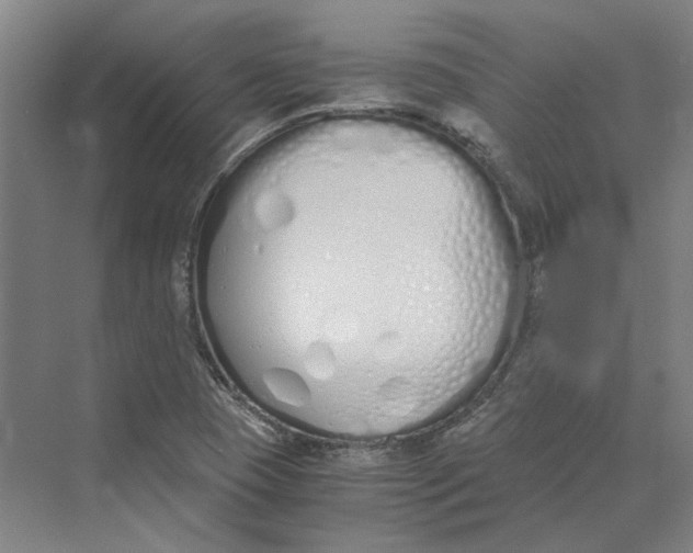 X0000069801409200606021427