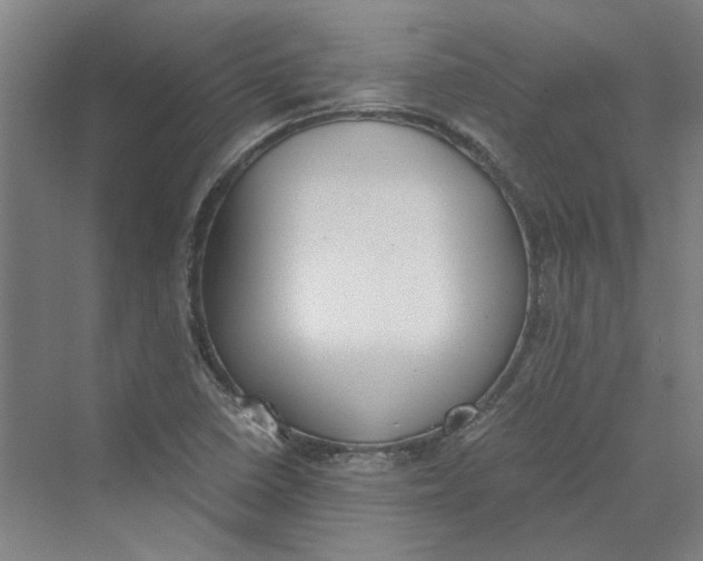 X0000069801410200606021427