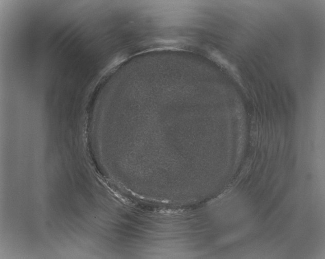 X0000069801411200606021427