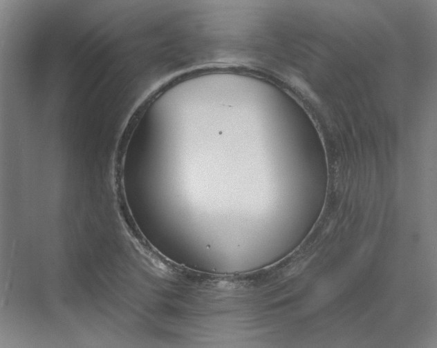 X0000069801412200606021427