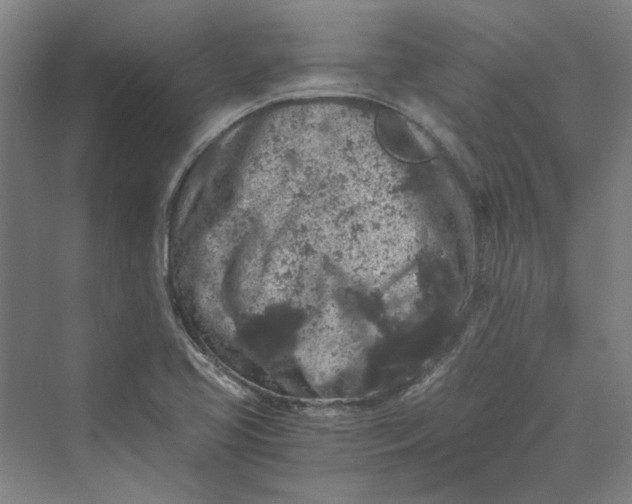 X0000069801413200606021427