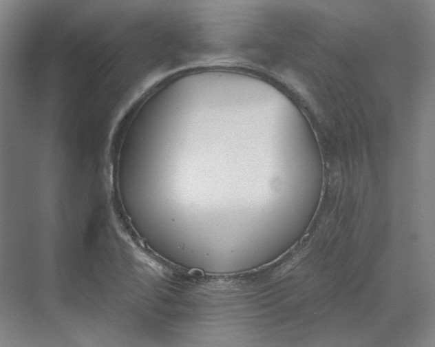 X0000069801414200606021427