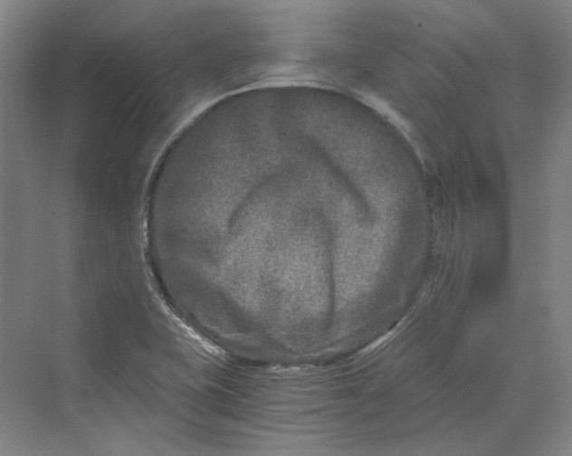 X0000069801415200606021427