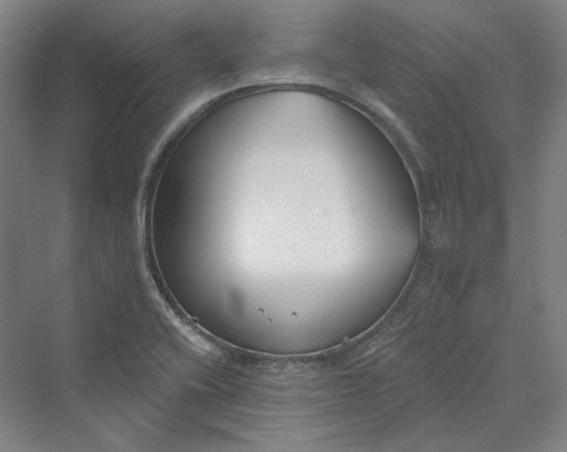 X0000069801416200606021427