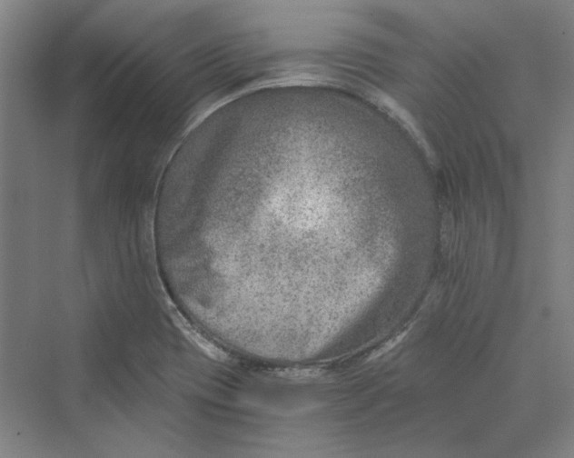 X0000069801417200606021427