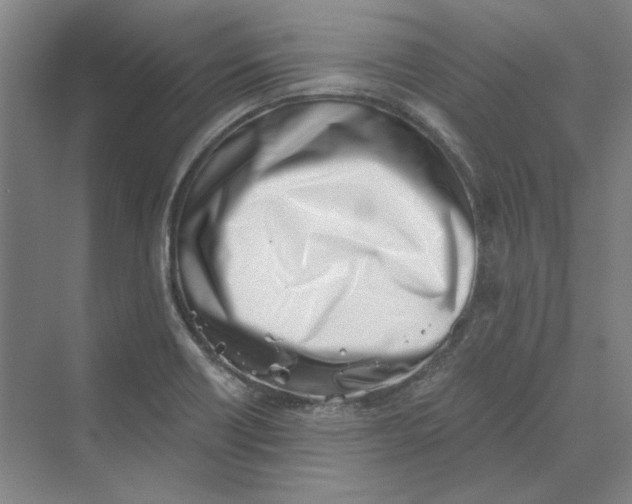 X0000069801418200606021427