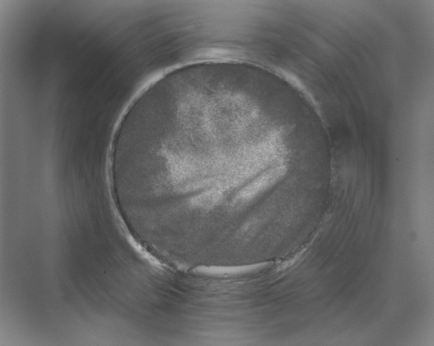 X0000069801421200606021427