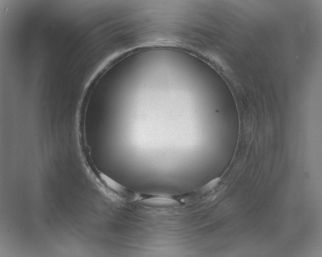 X0000069801422200606021427