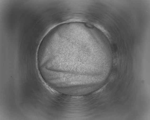 X0000069801423200606021427