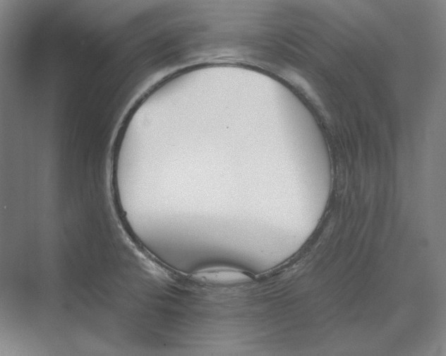 X0000069801424200606021427