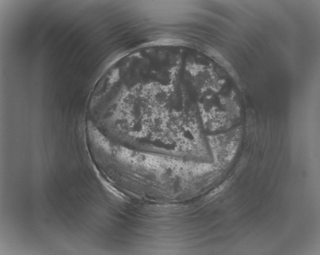 X0000069801425200606021427