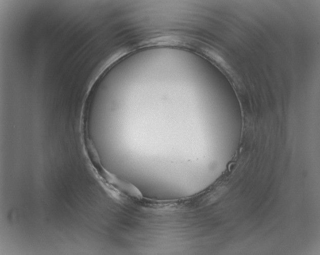 X0000069801426200606021427