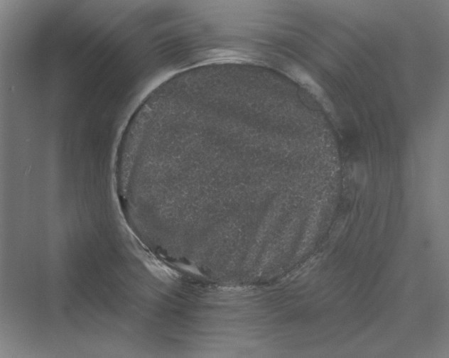 X0000069801427200606021427