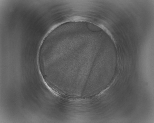 X0000069801429200606021427