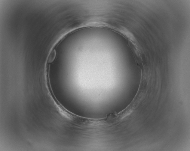 X0000069801430200606021427