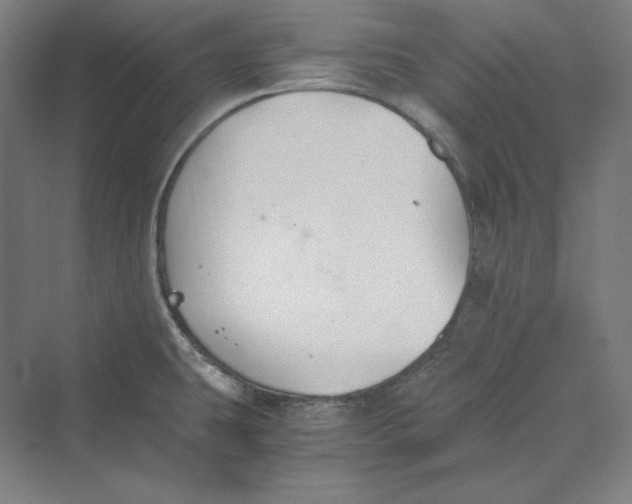 X0000069801431200606021427