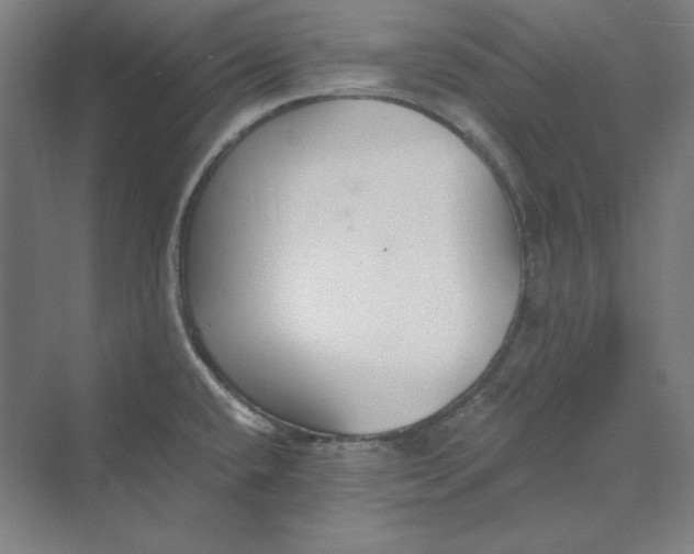 X0000069801432200606021428