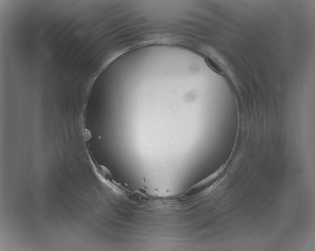 X0000069801433200606021428