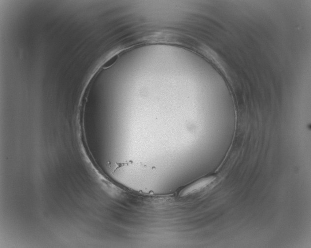 X0000069801434200606021428