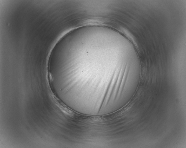 X0000069801435200606021428