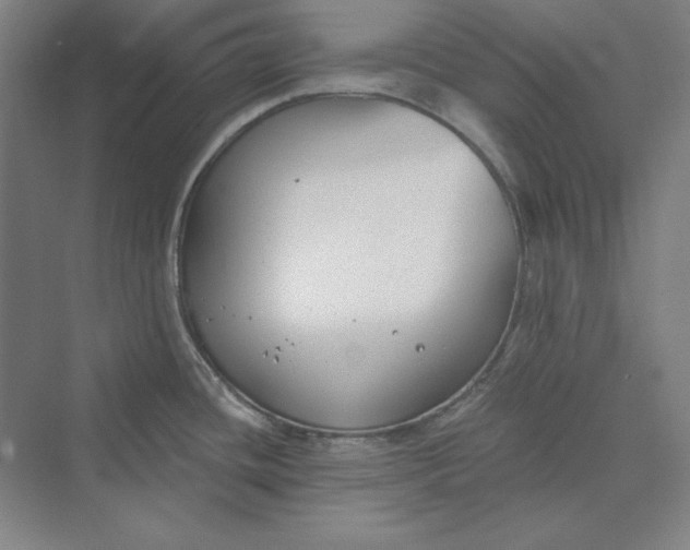 X0000069801436200606021428