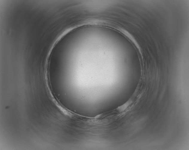 X0000069801437200606021428