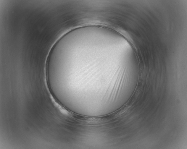 X0000069801439200606021428