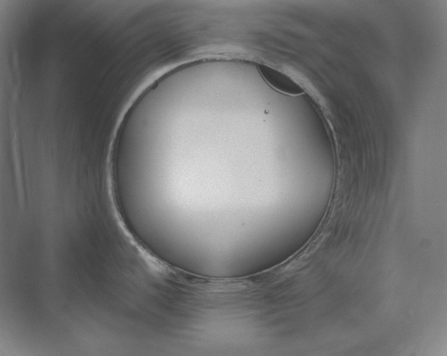 X0000069801440200606021428