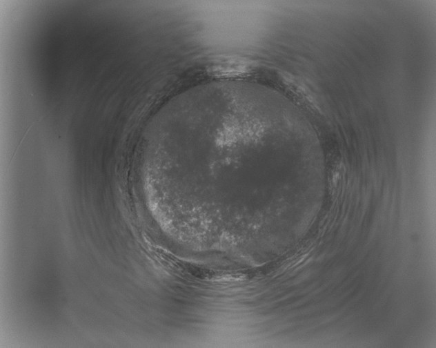 X0000069801441200606021427