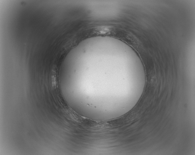 X0000069801442200606021427