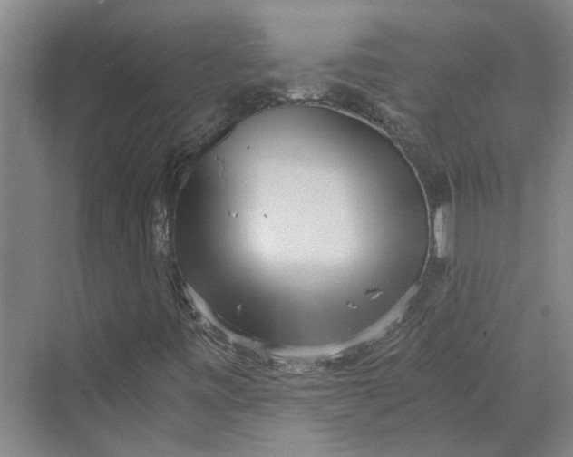 X0000069801443200606021427