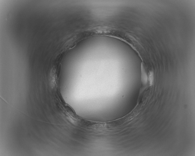 X0000069801444200606021427