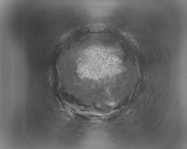 X0000069801445200606021427