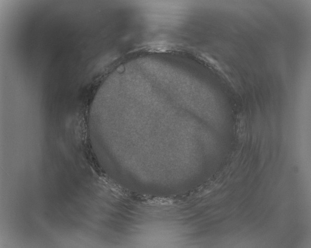 X0000069801446200606021427