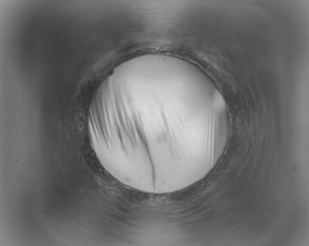 X0000069801447200606021427