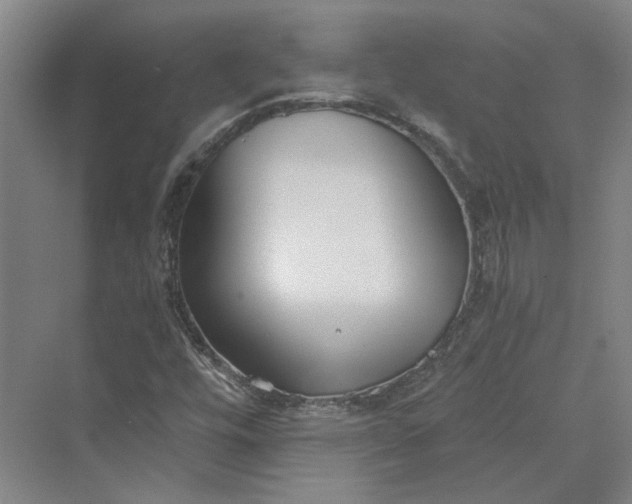 X0000069801448200606021427