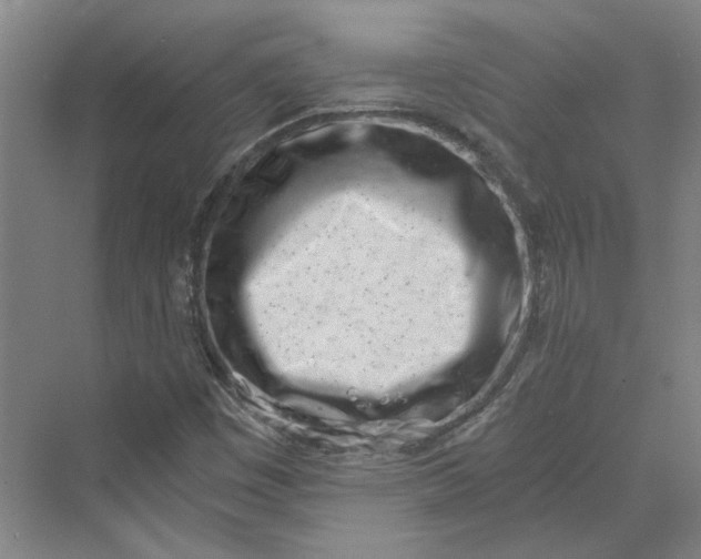 X0000069801449200606021427