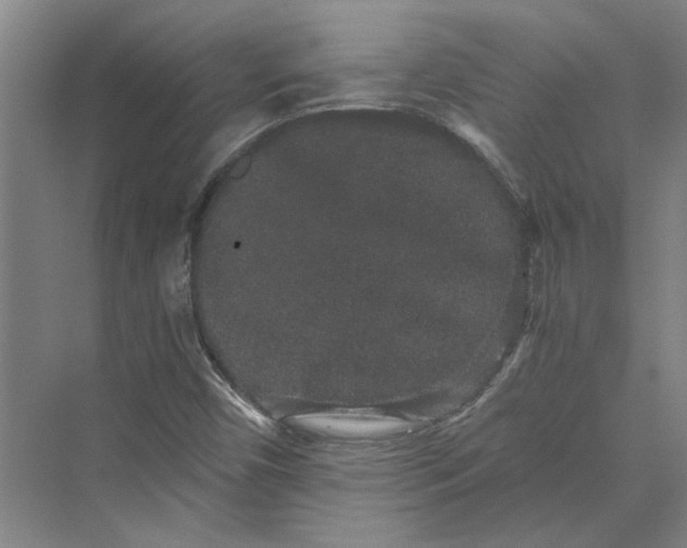 X0000069801450200606021427