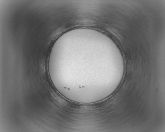 X0000069801451200606021427