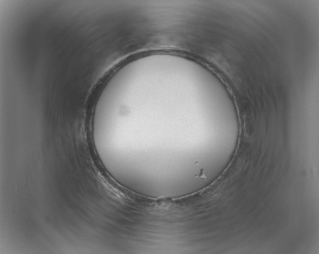 X0000069801452200606021427