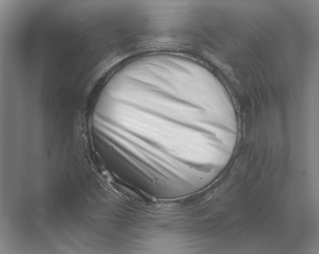 X0000069801453200606021427