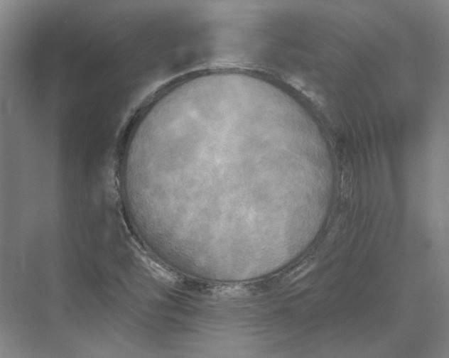 X0000069801454200606021427