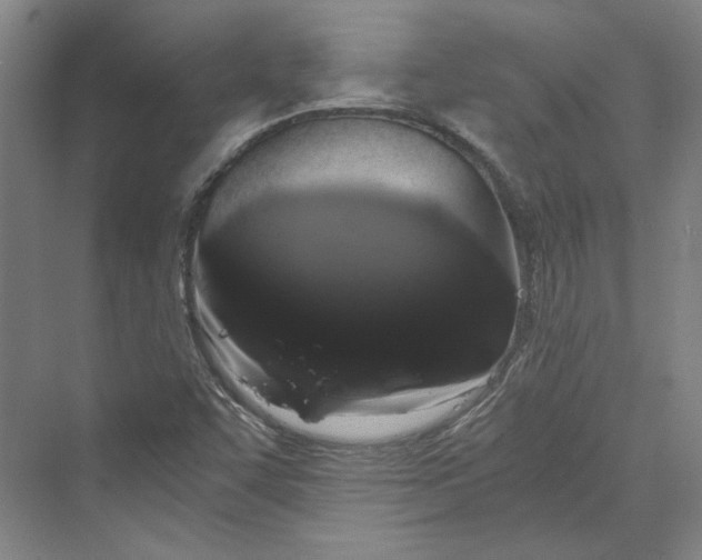 X0000069801455200606021427