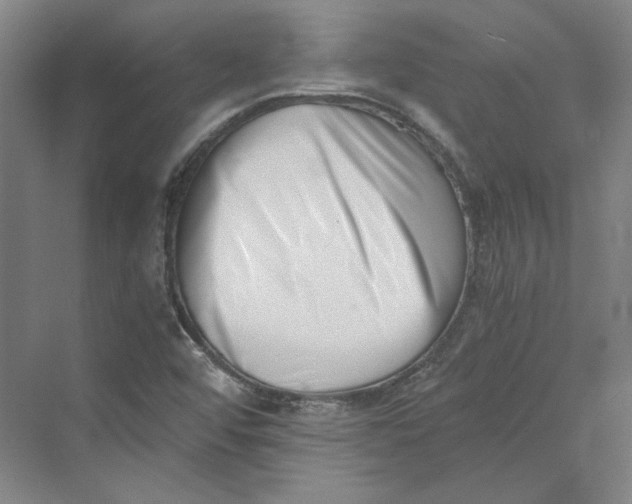 X0000069801456200606021427