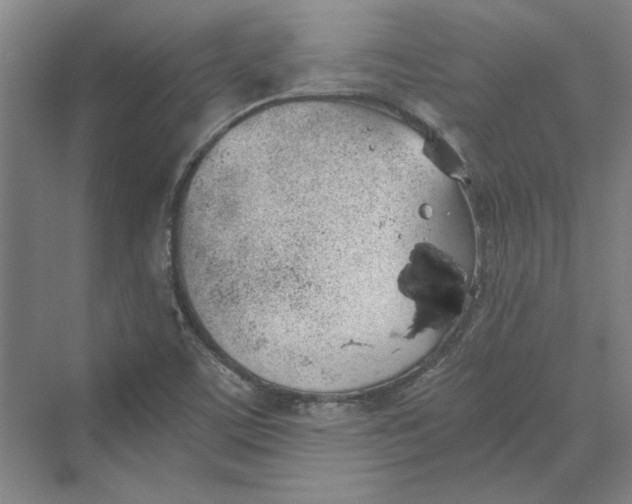 X0000069801459200606021427