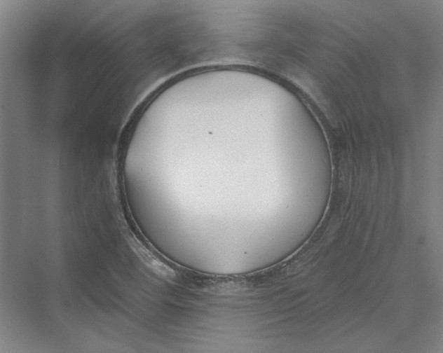 X0000069801460200606021426