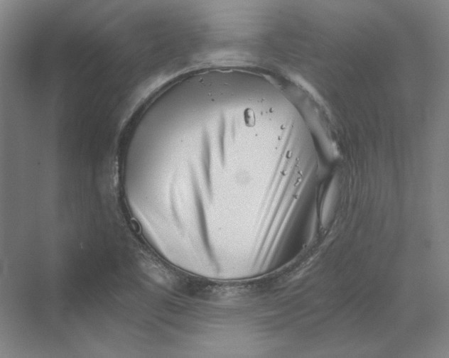 X0000069801461200606021426